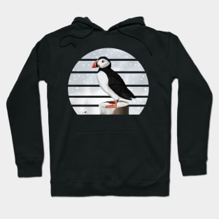 Puffin Winter Snow Bird Watching Birding Ornithologist Gift Hoodie